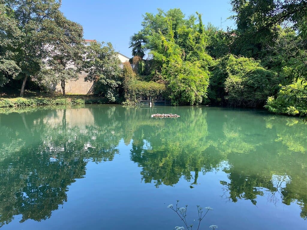 Relax at Parco Arcadia