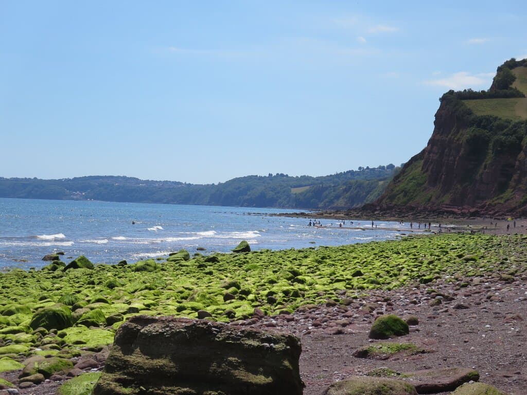 View of beach 