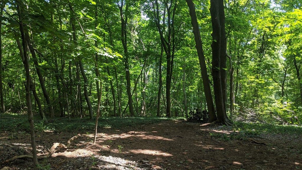 Trail View State Park