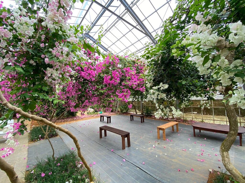 観光農園ユートピアファーム宮古島