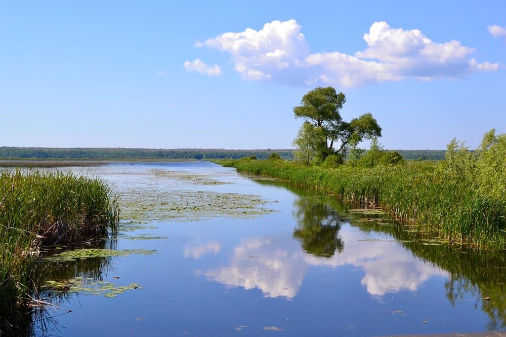 Tiny Marsh Provincial Wildlife Area