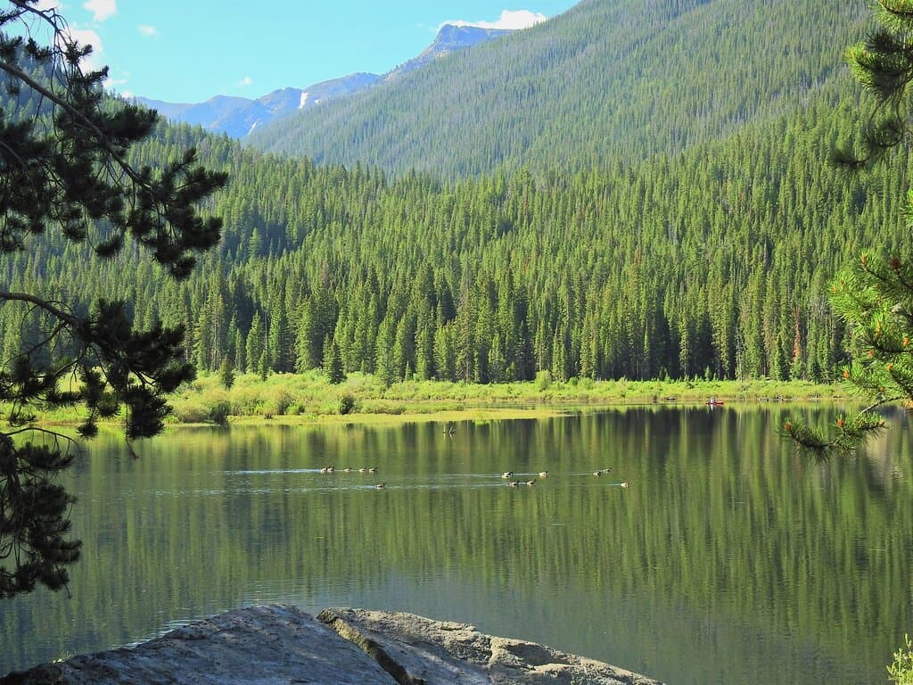 Monarch Lake Loop Trail