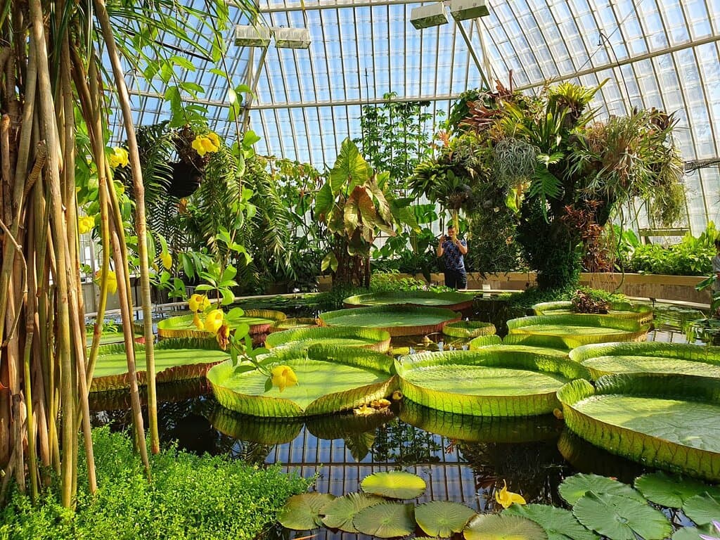 Bergius Botanic Garden Stockholm