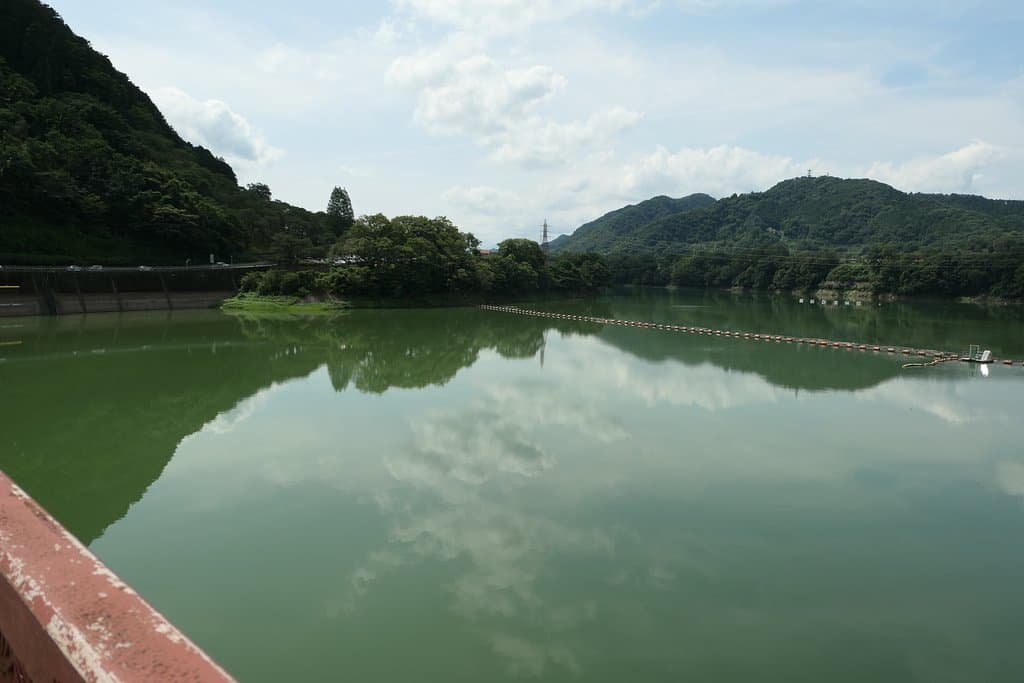 こちらはダム湖の津久井湖です。
