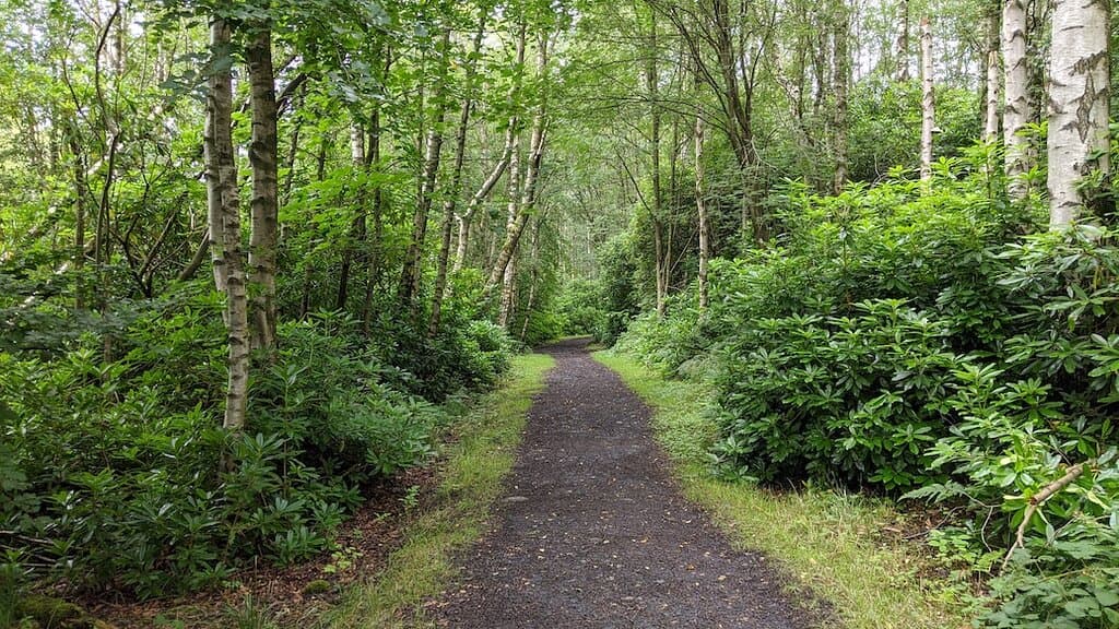 Plean Country Park