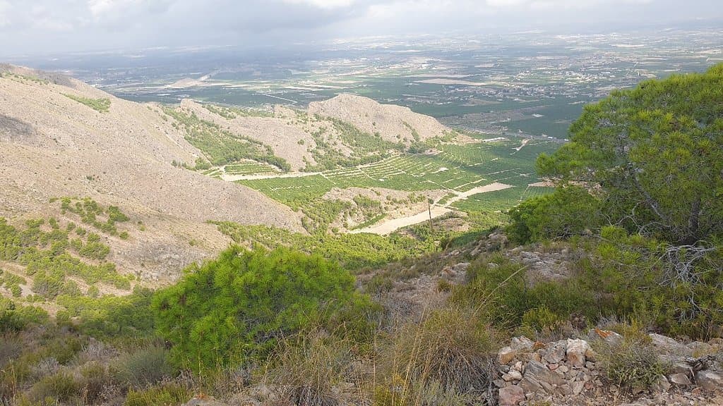 Sierra de Orihuela