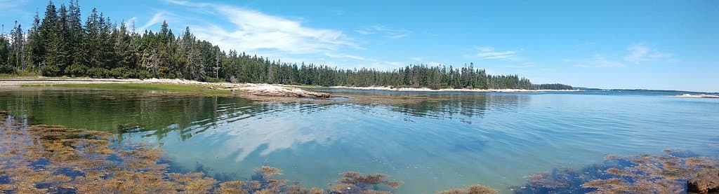 Wonderland Trail