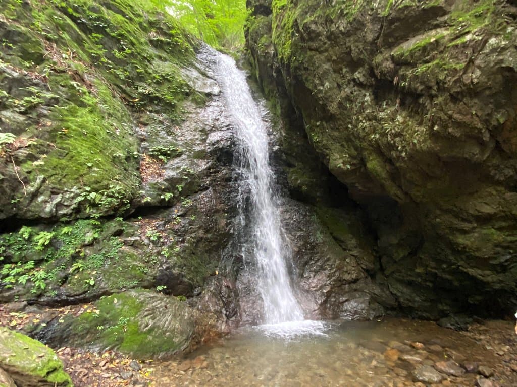 Mitake Rock Garden