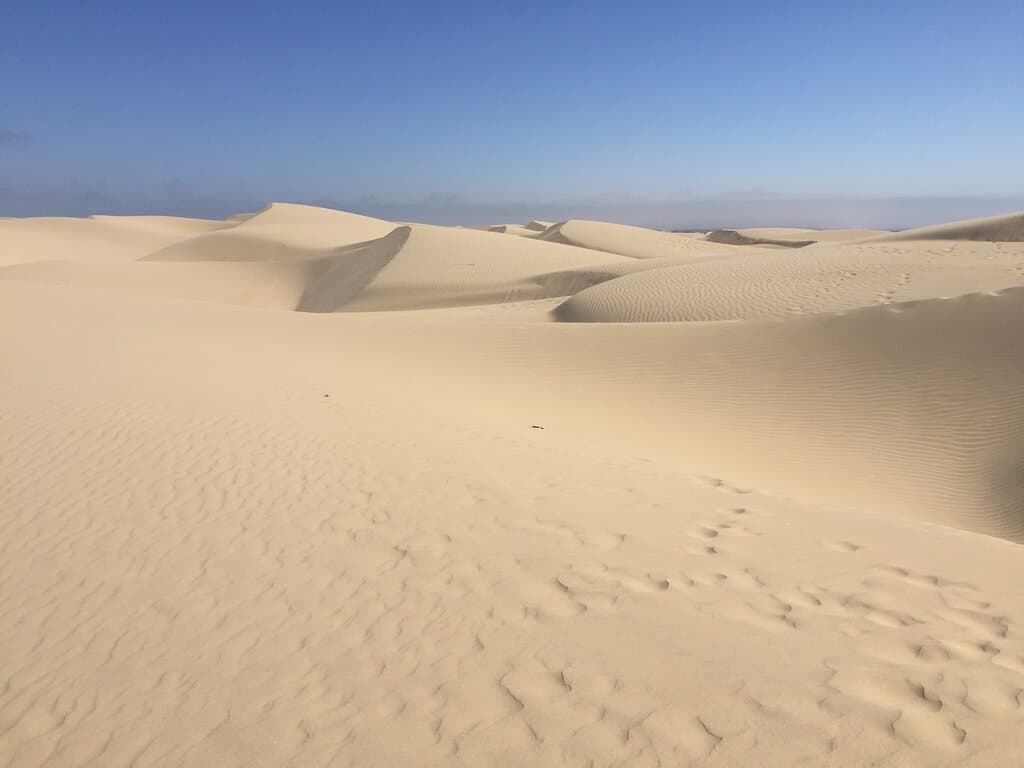 Dunes in Oceano Dunes Natural Preserve