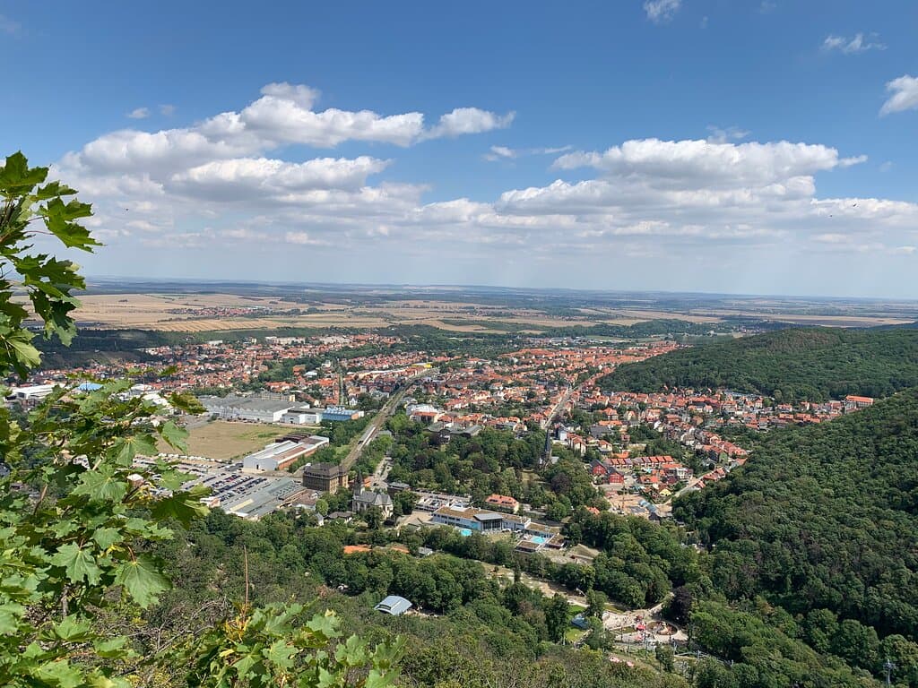 the view