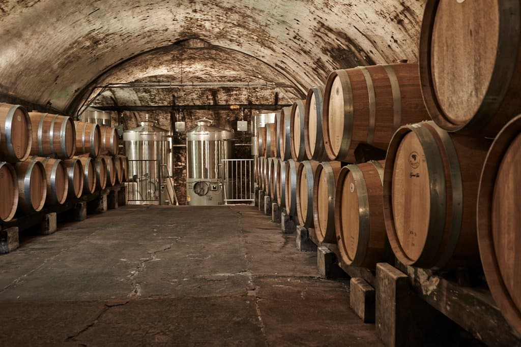 This is our Connecting Cellar - 60 gallon barrels aging Chambourcin, barrels were previously used for Norton.