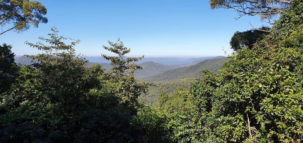 McClellands Lookout