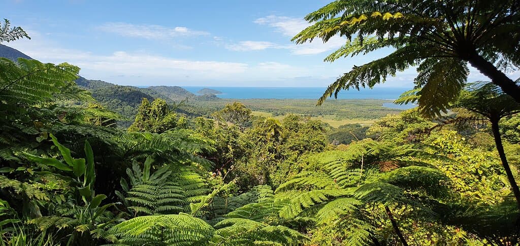 Mount Alexandra Lookout