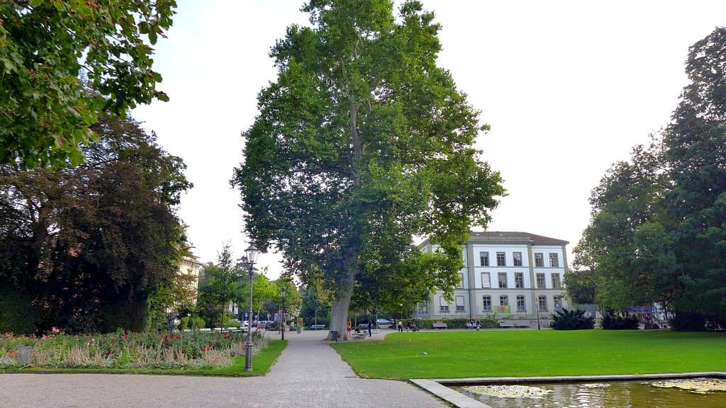 Stadtpark Winterthur