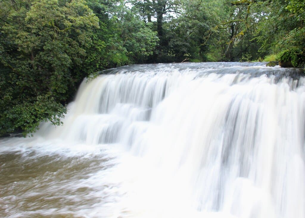 Rutter Force in all its glory