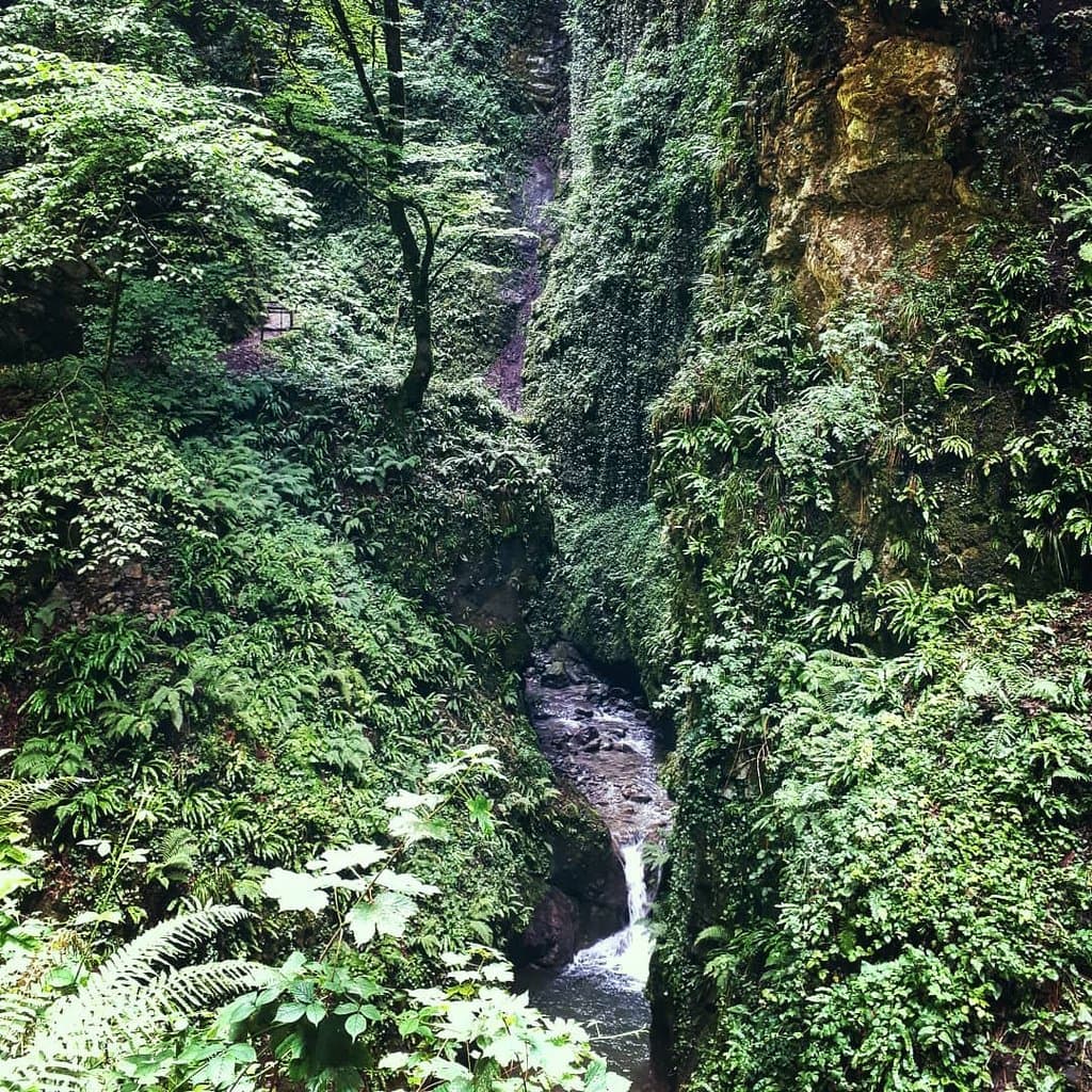 Gorges du Chauderon Montreux