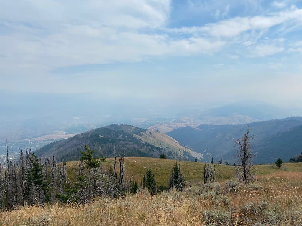 Mount Kobau South Okanagan Grasslands
