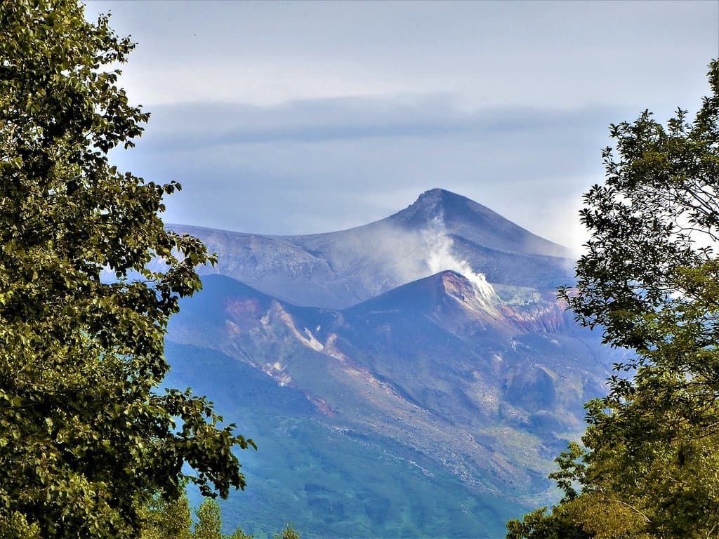 ビルケの森～１