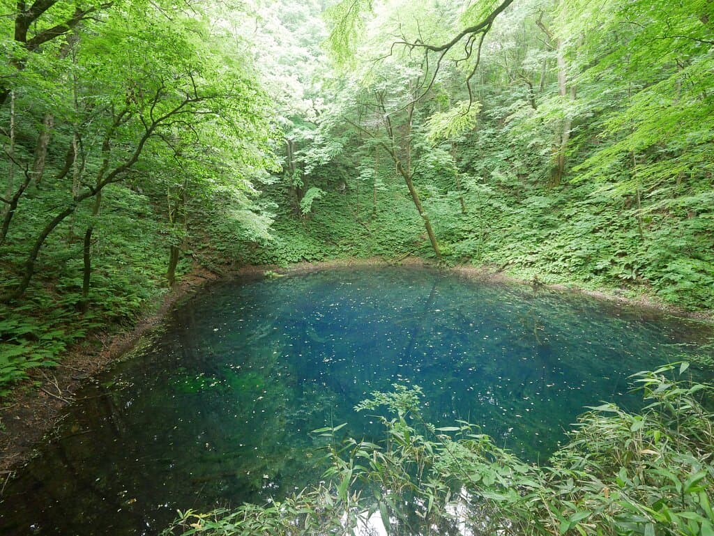 aoike shirakamisanchi０２