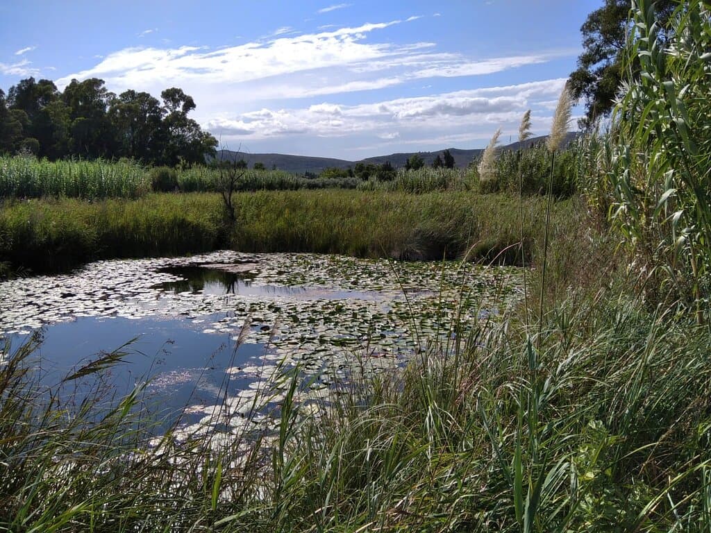 Ullals de Baltasar