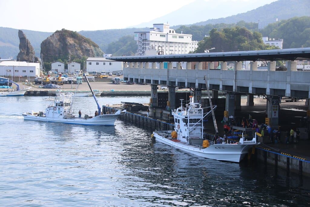 間近で見るサケマス漁などの水揚げシーンは圧巻です