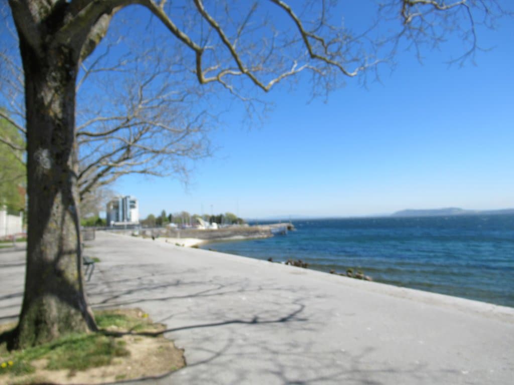 along the lake