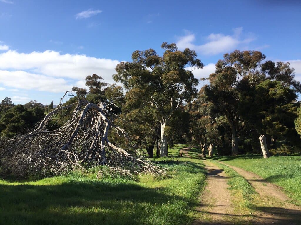 Glenthorne National Park Ityamaiitpinna Yarta