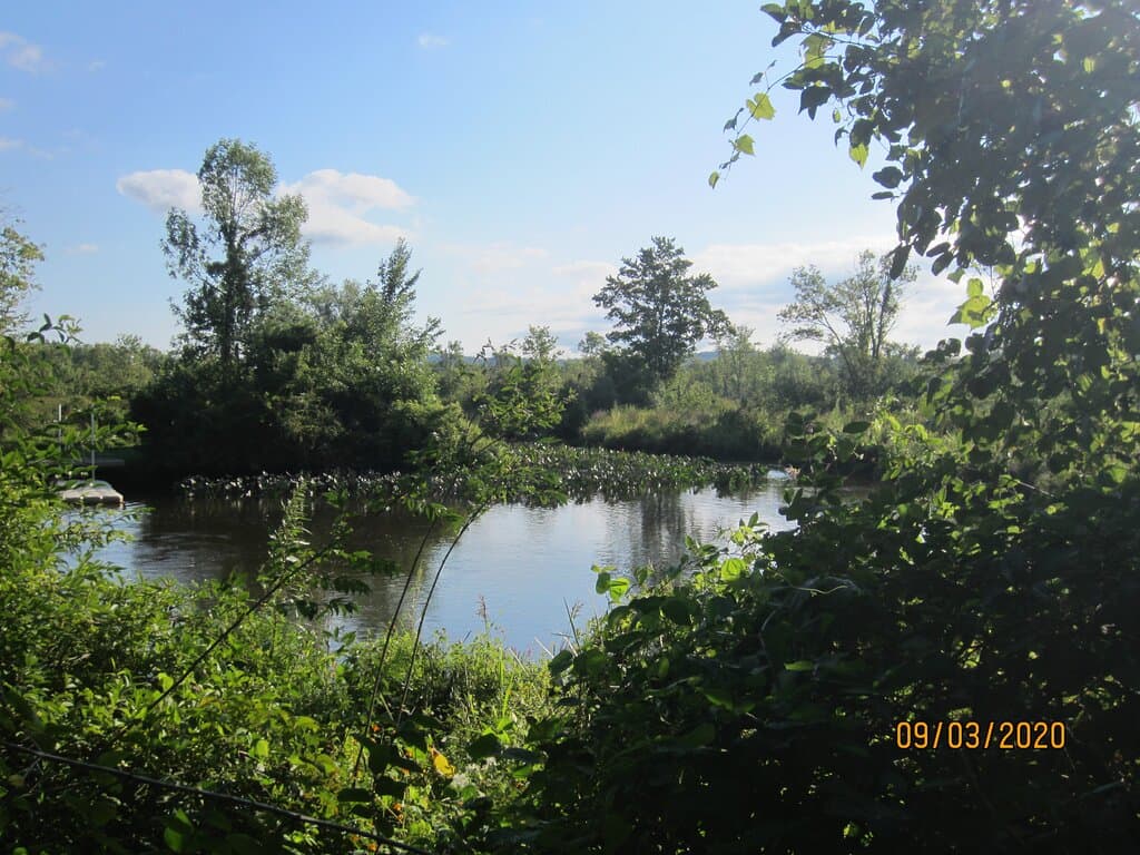 Water area.