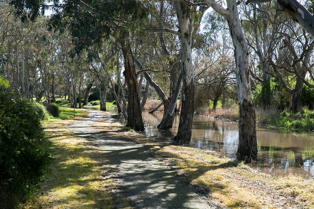 A small part of the Naracoorte Creek Walk.