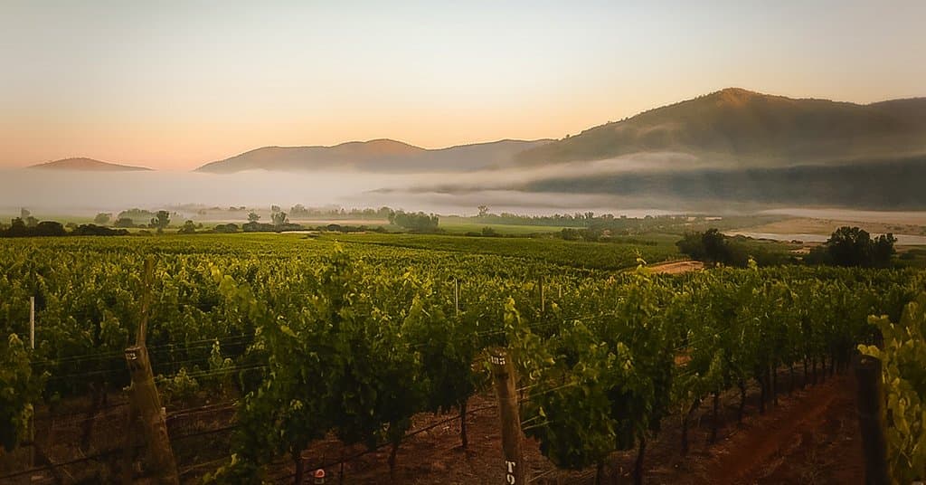 Veramonte Winery