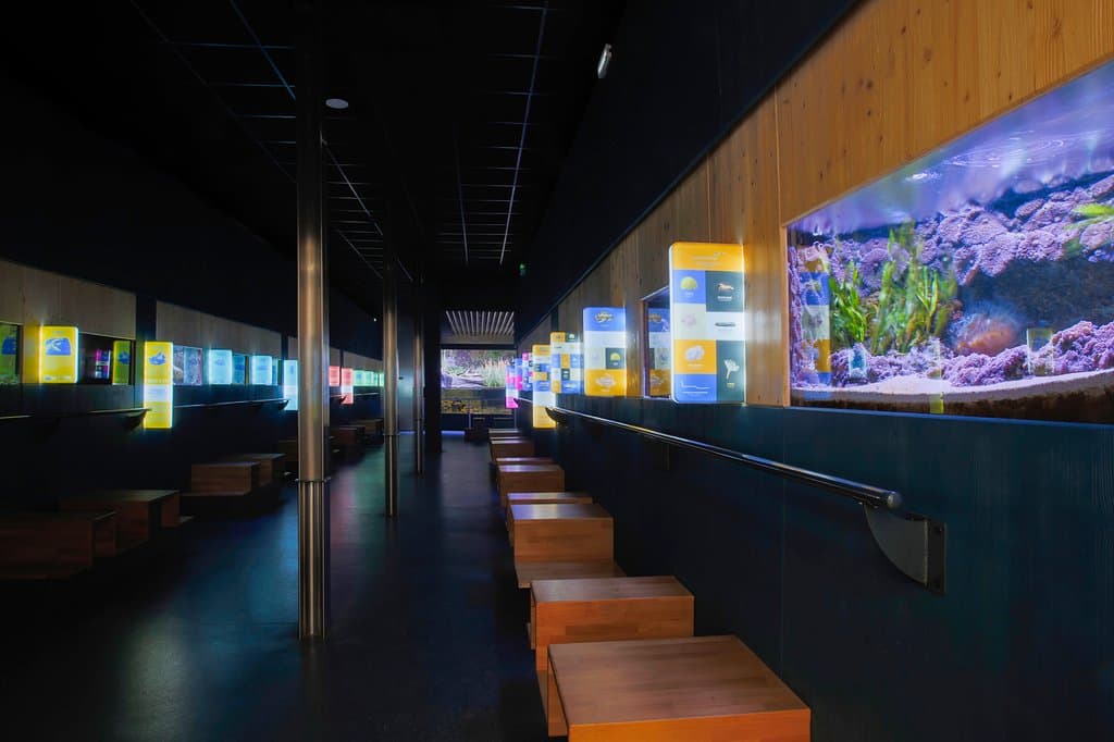 Galerie Aquarium