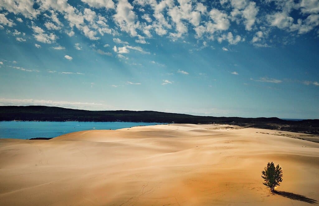 Ynyslas Sand Dunes Dyfi National Nature Reserve