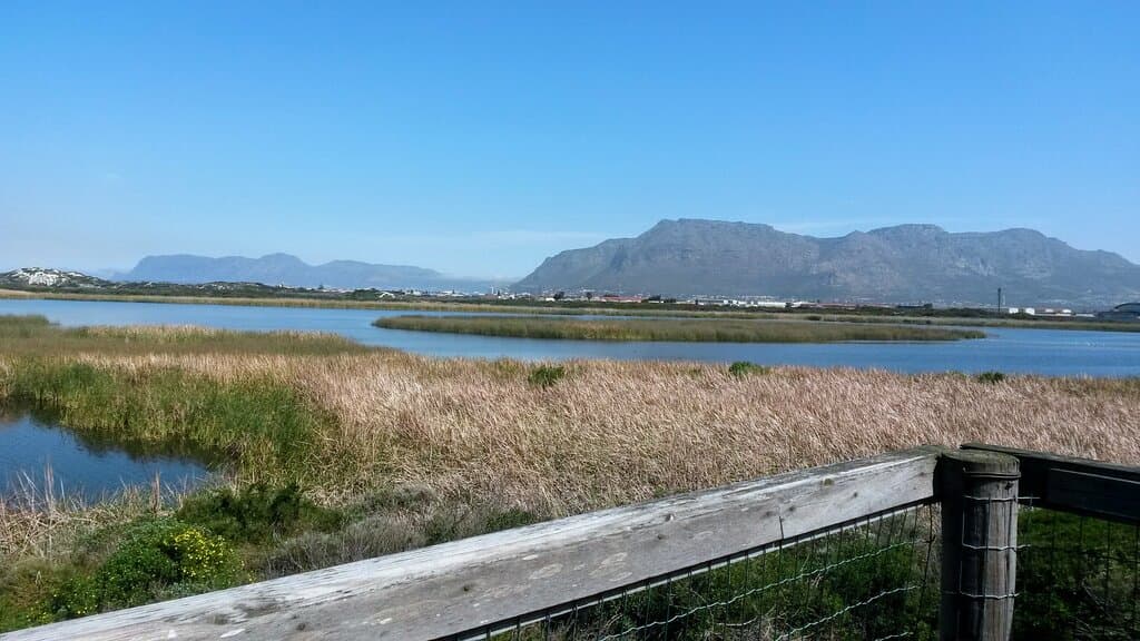 The mountains in the distance.