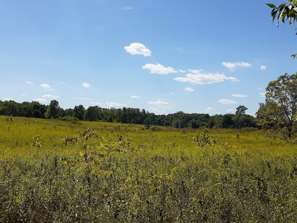 Meadowbrook Farm Preserve