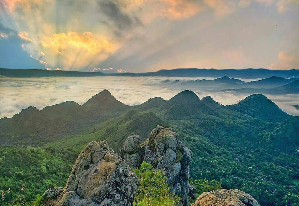 Scenic Paradise