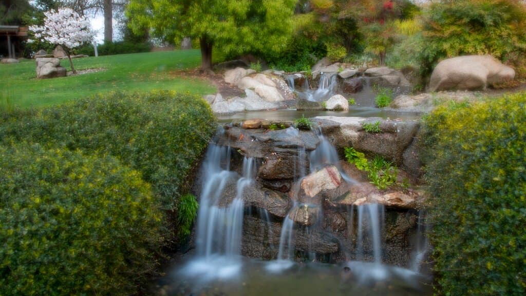 Welcome! Join us here at the Shinzen Garden!