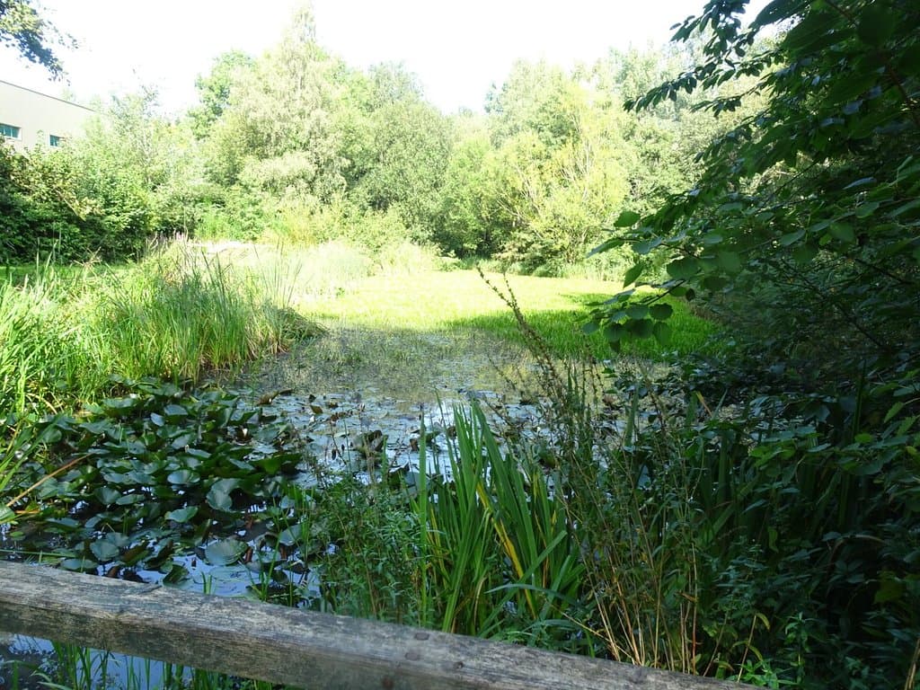 Denso Marston Nature Reserve