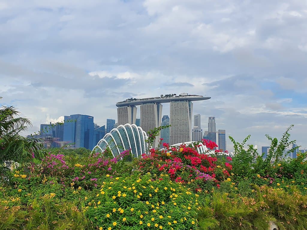 view of MBS