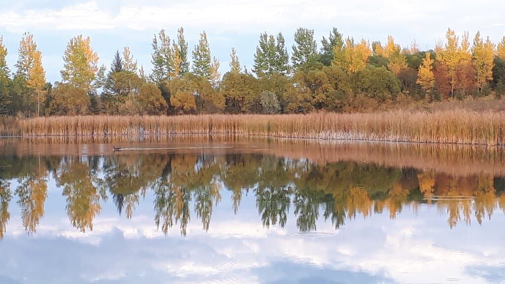 Birds Hill Provincial Park