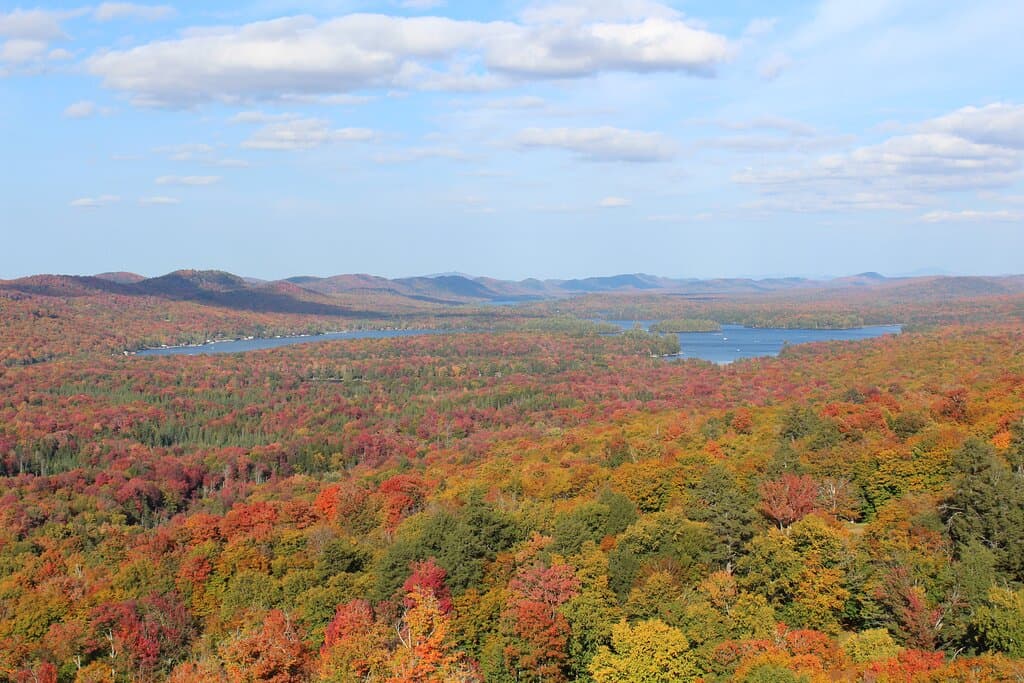 Beautiful Fall View