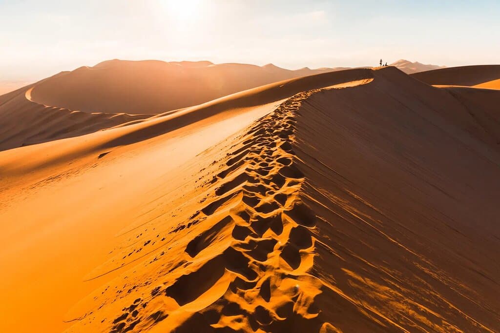 Dune 7 located along the central coast of Namibia, just outside the town of Walvis Bay. It’s the highest sand dune in the world and its impressive colour features range from sandy brown to shades of yellow and orange, depending on the position of the sun. Climbing to its peaks is a truly unique experience and once you reach the summit take a moment to appreciate the epic beauty of mother nature.   Allow Cardinal Lodges & Leisure to help you experience all of Namibia - www.clsa.co.za