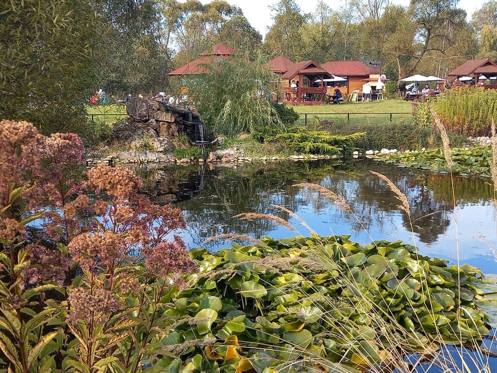 Красивый пруд с водопадиком