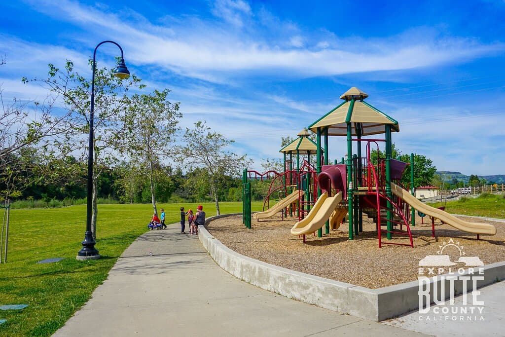 The playground