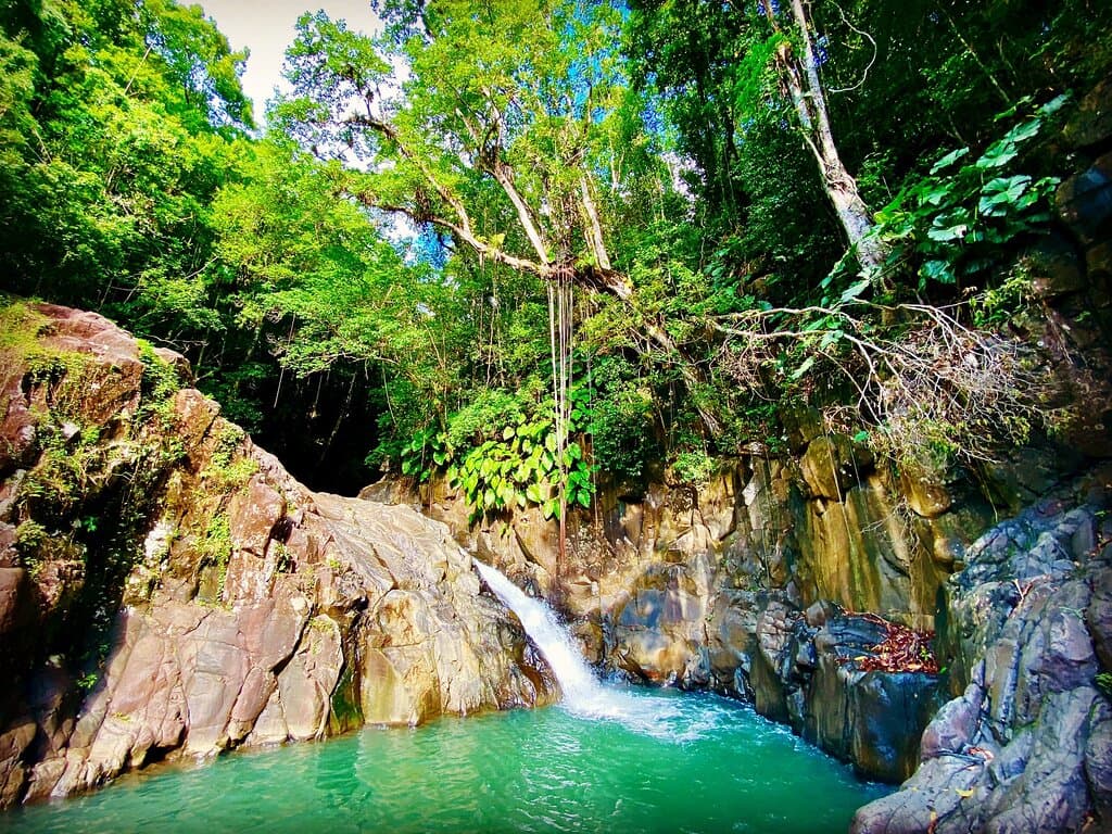Saut d'Acomat Guadeloupe