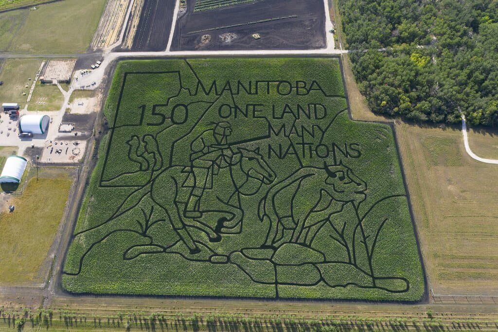 The MB 150 Corn Maze