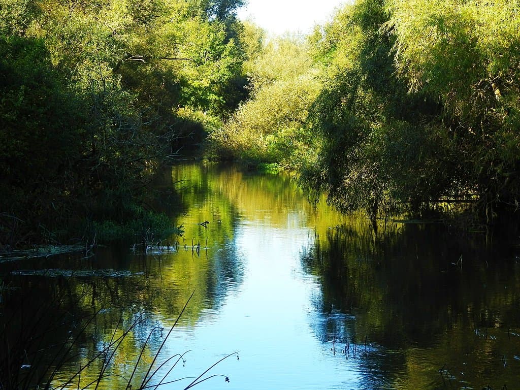 View downstream