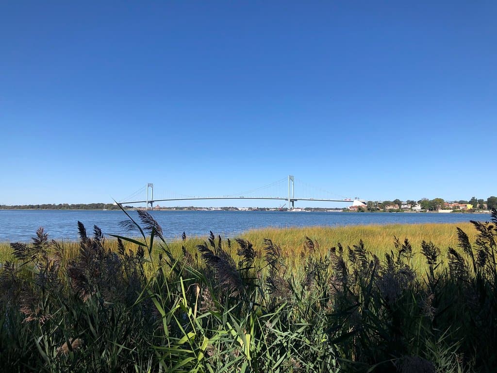 Powell's Cove Park