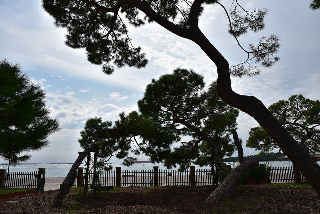 Giardini della Marinaressa