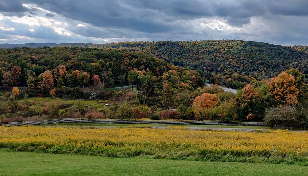 Johnstown Flood National Memorial