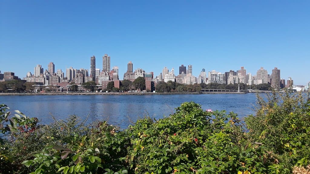 view from park